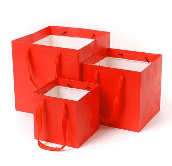 La aduana imprimió la bolsa de papel de lujo del regalo del bolso del regalo del papel de las compras de la joyería con el bronceado del logotipo